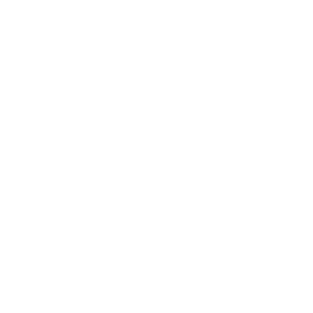 Netcup Logo — Newmountains.IT als Partner für Hosting und Server aus Nürnberg und Wien